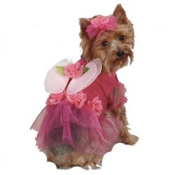 Flower costume for dogs