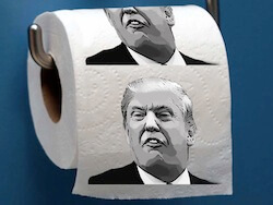 Novelty Toilet Paper