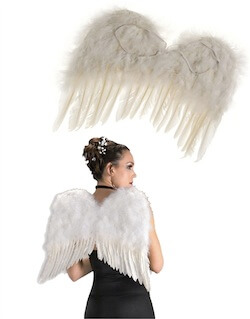 Feathered Wings
